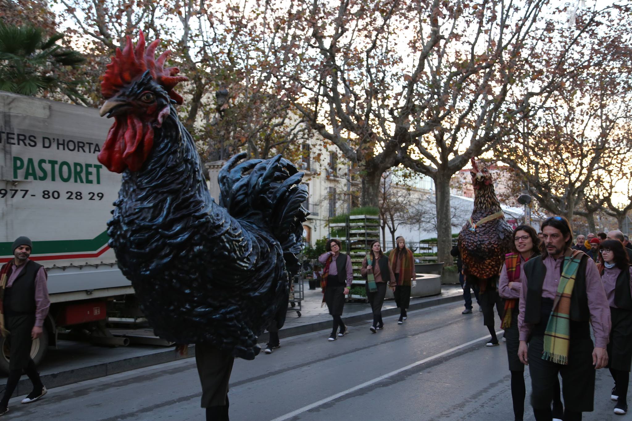 Fira del Gall de Vilafranca