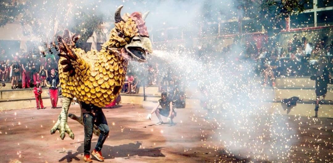 Encesa Poll Foll de Ripollet