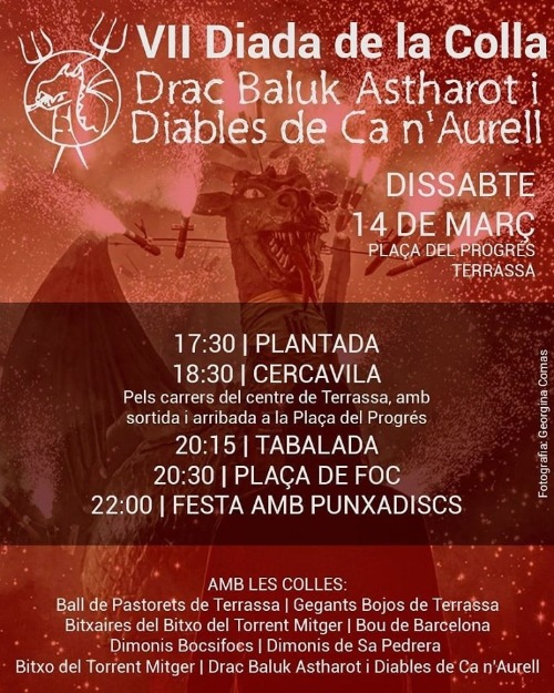 Cartell diada Drac Baluk